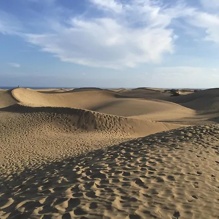 Atlantic Coast - Apartament *